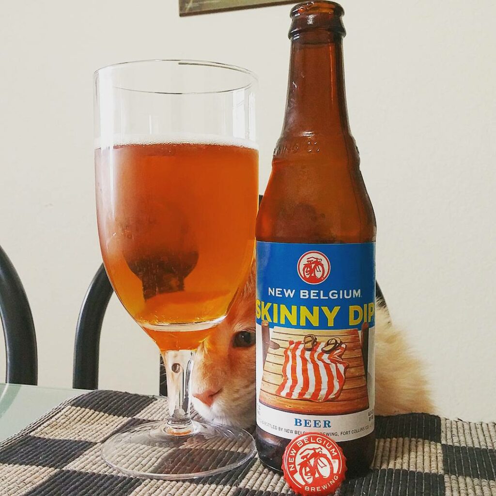 New Belgium Skiiny Dip Beer review by beer_reviewer