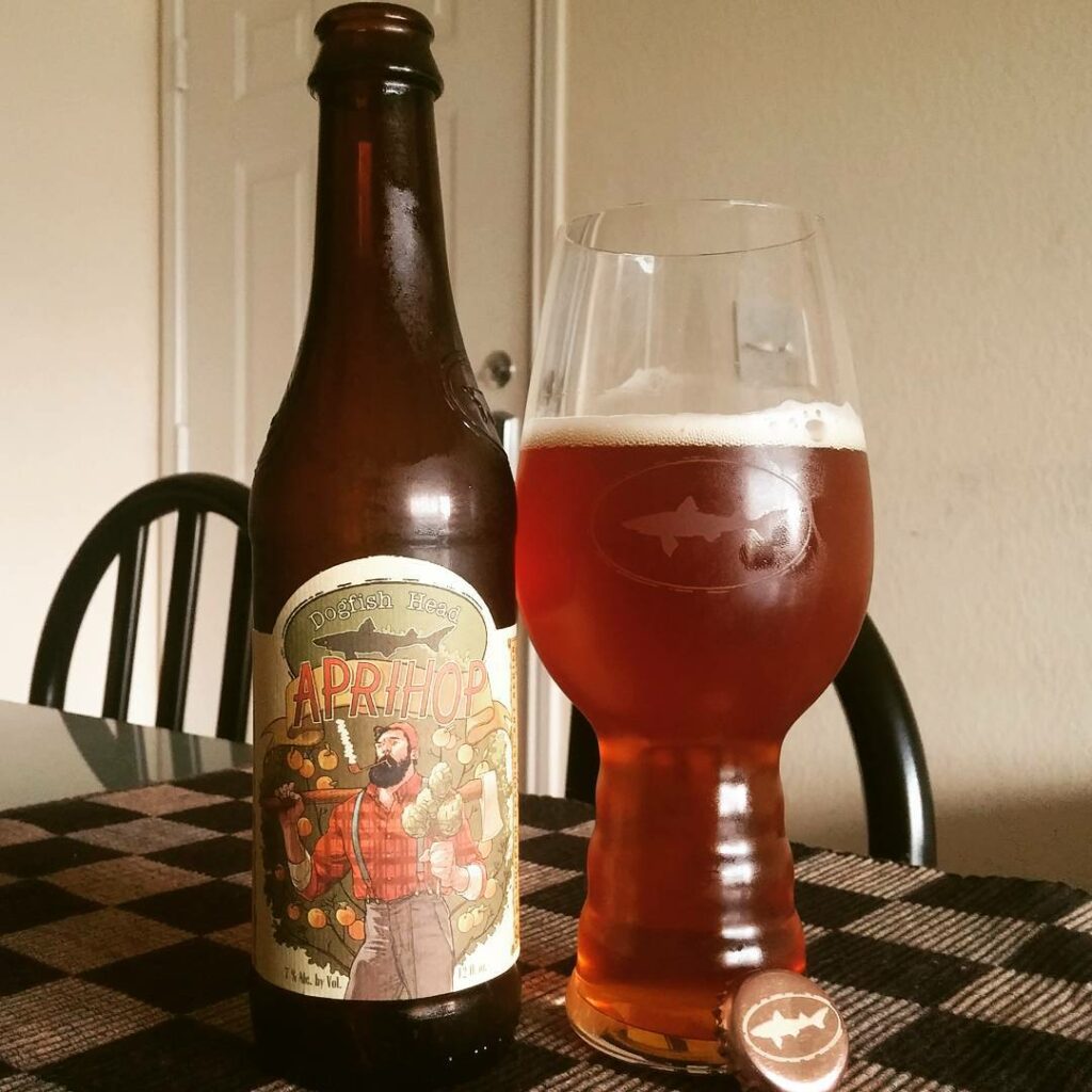 dogfish head aprihop beer review by beer_reviewer