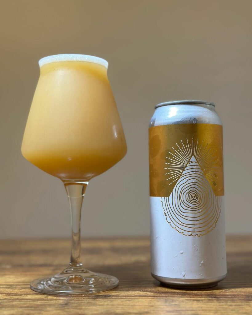 Conclave brewing 5th element review by b33rly alive