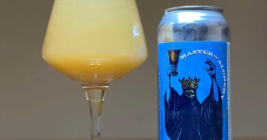 Electric Brewing Company Master of Alchemy beer review by b33rlyalive