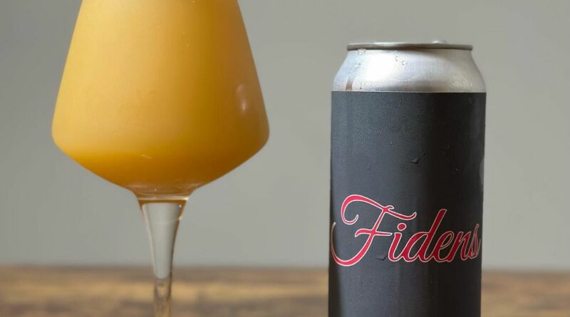 Fidens Brewing impulse beer review by b33rlyalive